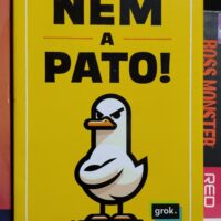 Nem a Pato