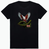 Camiseta Coruja - Panton: Episódio Matinta Perera